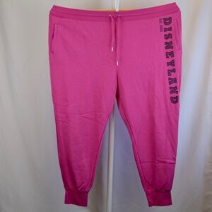 Disneyland Sweatpants Size 3X